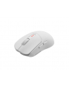 Genesis Zircon 500 biała (NMG2114) - nr 17