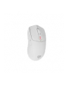 Genesis Zircon 500 biała (NMG2114) - nr 19