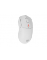 Genesis Zircon 500 biała (NMG2114) - nr 9