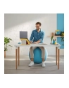 LEITZ Piłka do siedzenia Ergo Cosy, szara - nr 6