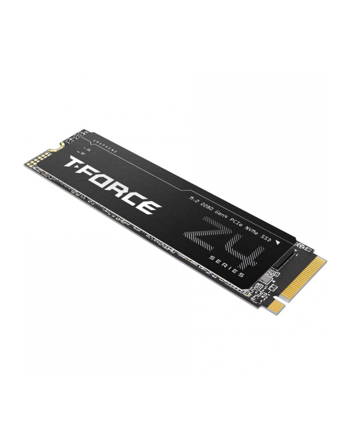Team Group T-FORCE Z44A5 1TB, SSD (PCIe 4.0 x4 | M.2 2280) główny