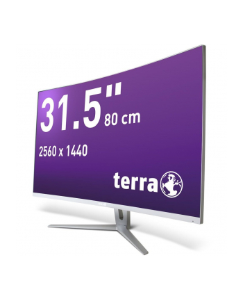 Wortmann 31,5'' Ag TERRA 3280W V3 (3030219) CURVED USB-C/HDMI/DP silver/white