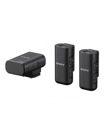 Sony Ecm-W3