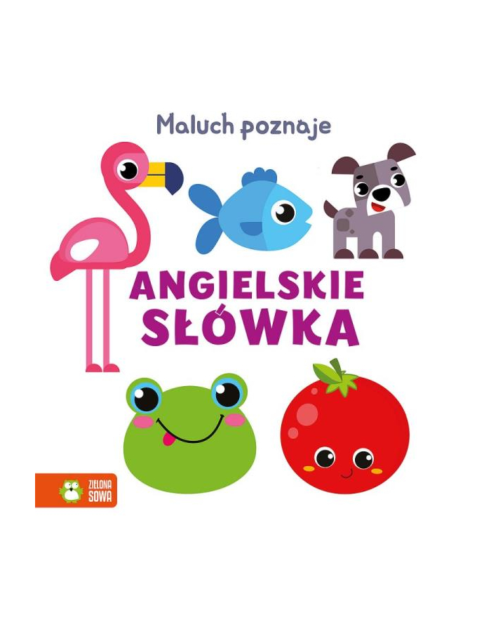 zielona sowa Książeczka Maluch poznaje. Angielskie słówka główny