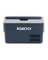 Igloo ICF32, cool box (blue) - nr 1