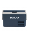 Igloo ICF32, cool box (blue) - nr 2