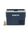 Igloo ICF32, cool box (blue) - nr 5