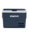 Igloo ICF40, cool box (blue) - nr 1