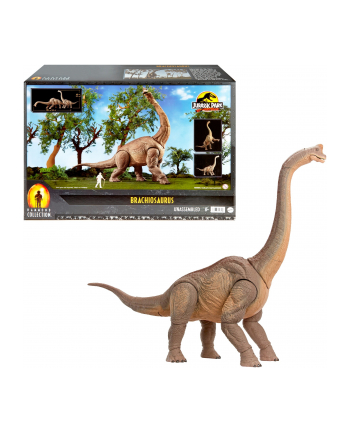 Mattel Jurassic World Hammond Collection Brachiosaurus Toy Figure