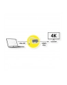 Roline Adapter kabli 4K2K MiniDP-VGA/HDMI M/F - nr 2