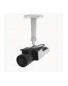 Axis Netzwerkkamera Box-Typ Mini M1137 Mkii 5Mp - Network Camera (2484001) - nr 16