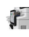 EPSON Enterprise AM-C5000 (C11CJ42401) - nr 3