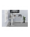 Digitus Da-90453 Da-90453 1szt. - nr 40