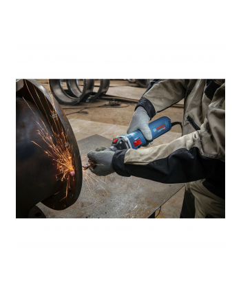 Bosch GGS 30 LS Professional 06012B5020