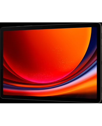 SAMSUNG Galaxy Tab S9 256GB, tablet PC (graphite, System Android 13)
