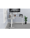 Digitus Da-90453 Da-90453 1szt. - nr 34