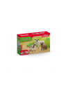 Schleich 42660 Owczy przyjaciele - nr 11