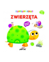 wydawnictwo jedność Książka Motoryka Smyka. Zwierzęta (karton) Wyd. Jedność - nr 1