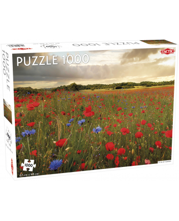 PROMO Puzzle 1000 el. Around the World Northern Stars Field of Flowers 56646 TACTIC