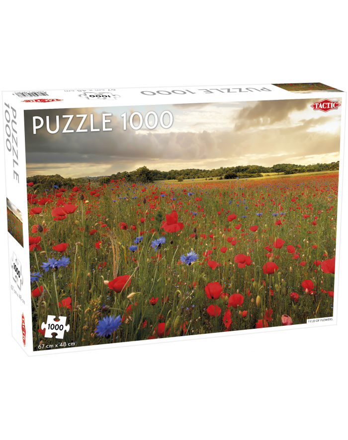 PROMO Puzzle 1000 el. Around the World Northern Stars Field of Flowers 56646 TACTIC główny