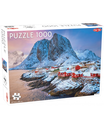 PROMO Puzzle 1000 el. Landscape: Greenland 56749 TACTIC
