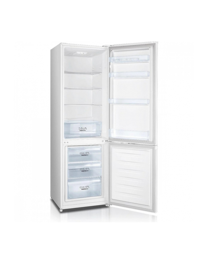 gorenje Chłodziarko-zamrażarka RK4182PW4 główny