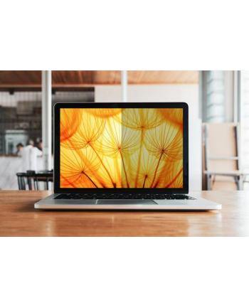 3M Bright Screen Privacy Filter BP150C3B for 15in Laptop 4:3