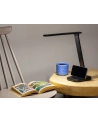 TRACER LAMPKA BIURKOWA LED NEGRA - nr 5