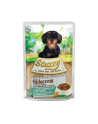 agras pet foods STUZZY dla psów Shreds Królik z Warzywami 100g - nr 1