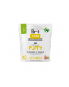 BRIT Care Dog Sustainable Puppy Chicken 'amp; Insect - sucha karma dla szczeniąt - 1 kg - nr 1