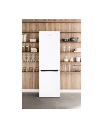 amica Chłodziarko-zamrażarka FK2995.2FT(E)