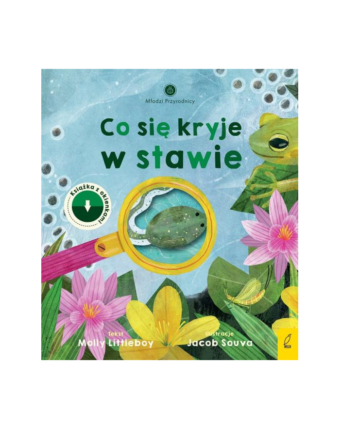 foksal Książeczka Młodzi przyrodnicy. Co się kryje w stawie główny