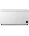 gorenje Zamrażarka FH50EAW - nr 11