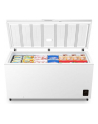 gorenje Zamrażarka FH50EAW - nr 12