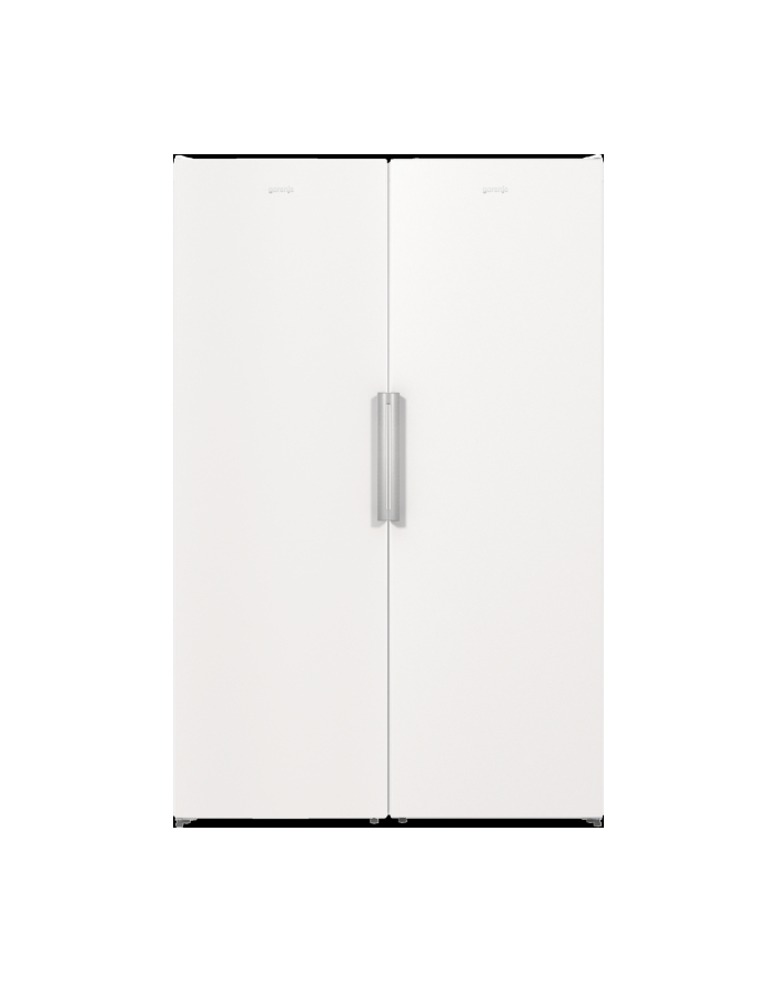 gorenje Zamrażarka FN619EEW5 główny