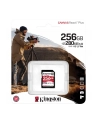 kingston Karta pamięci SD 256GB React Plus 280/150/MB/s U3 V60 - nr 8