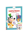 ameet Książeczka Disney maluch. Karty pracy malucha KPM-9201 - nr 1