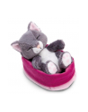NICI 49746 Maskotka szary kot 12cm śpiący w koszyku, bordowo-różowy GREEN - nr 1