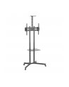 techly Stojak mobilny do TV 37-70cali, 50kg, 2 półki - nr 14