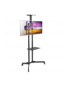 techly Stojak mobilny do TV 37-70cali, 50kg, 2 półki - nr 17