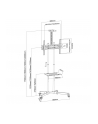 techly Stojak mobilny do TV 37-70cali, 50kg, 2 półki - nr 3