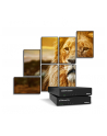MATROX QuadHead2Go Q155 multi-monitor controller appliance - nr 6