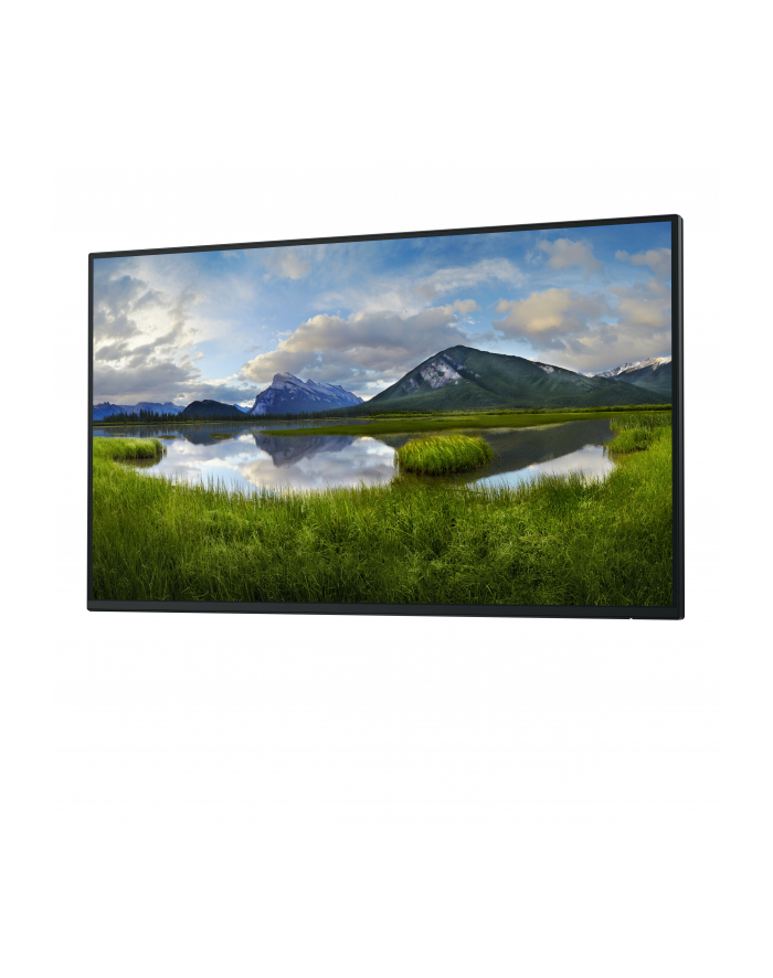 dell technologies D-ELL P2725H 27inch 68.6cm WOST główny