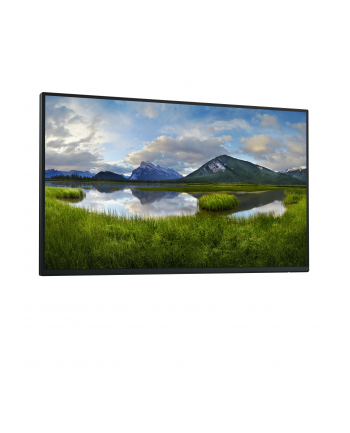 dell technologies D-ELL P2425H 23.8inch 60.5cm WOST