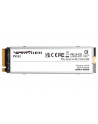 patriot memory Patriot Viper PV553 M2 PCI-E Gen5 x4 NVMe 2TB 124GB/s 1400k IOPs (PV553P2TBM28H) - nr 8