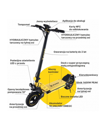 Hulajnoga Elektryczna Terenowo - Sportowa XRID-ER F10 18,4 Ah 800 W