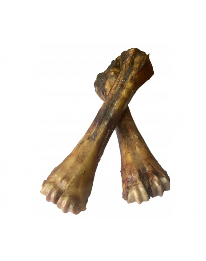 LUCZE Kość stopa wołowa suszona 100% naturalne 1szt główny