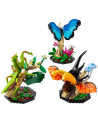 LEGO Ideas 21342 Kolekcja owadów - nr 4