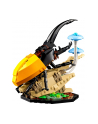 LEGO Ideas 21342 Kolekcja owadów - nr 7