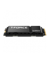 Dysk SSD Team Group T-FORCE G70 Pro 1TB M.2 PCIe NVMe Gen4 x4 (7400/5500) SLC HS - nr 8